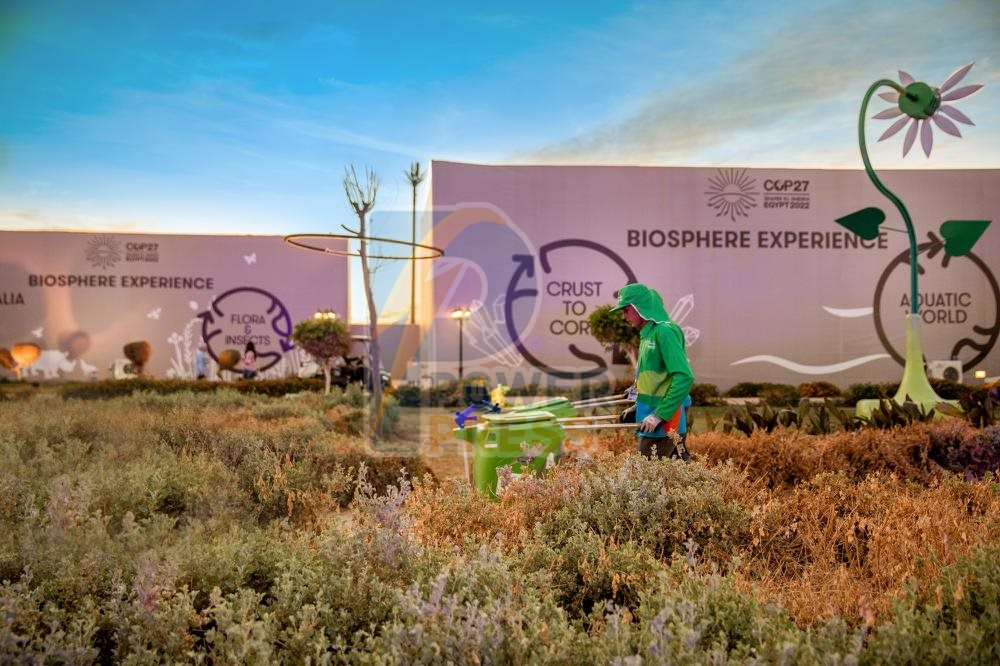 WhatsApp Image 2022-11-10 at 15.32.31