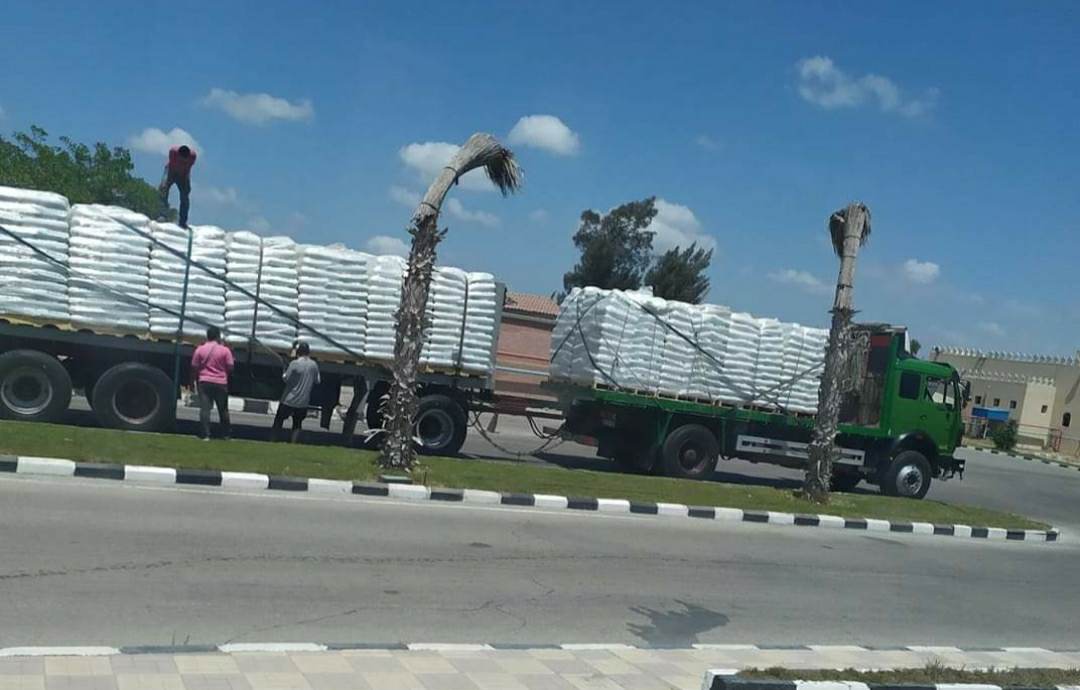 315526052_681074696946917_5427544357603230444_n