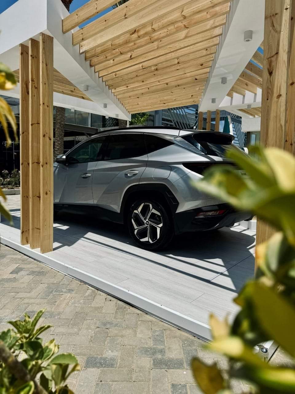 FB_IMG_1722169428878